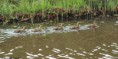 /album/kop-van-overijssel/img-0329-2-jpg/